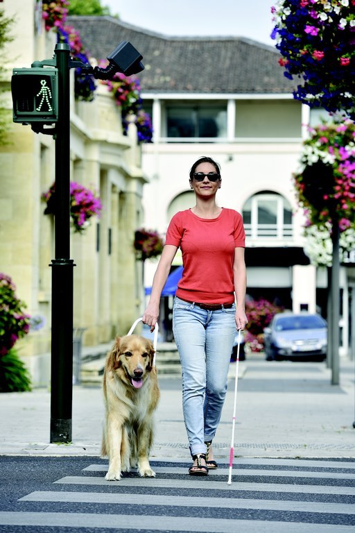EU funding for a comprehensive rehabilitation of the blind and visually impaired EU funding for a comprehensive rehabilitation of the blind and visually impaired