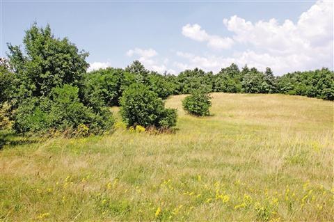 EU funding for the first Natura 2000 management project EU funding for the first Natura 2000 management project