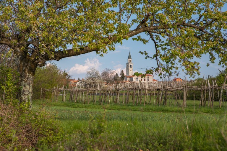 EU funding for the Natura 2000 information centre in the Karst region EU funding for the Natura 2000 information centre in the Karst region