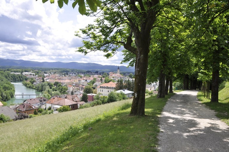 Nurturing a green Slovenia: EU funding for a themed route in Novo mesto Nurturing a green Slovenia: EU funding for a themed route in Novo mesto