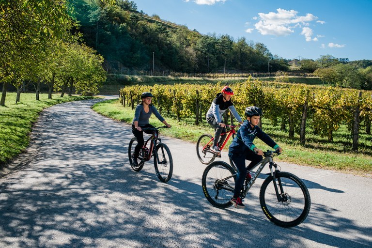 Promoting sustainable mobility: EU funding for a cycling connection between Turnišče, Dobrovnik and Lendava Promoting sustainable mobility: EU funding for a cycling connection between Turnišče, Dobrovnik and Lendava