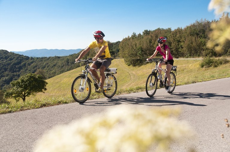 Promoting sustainable mobility: EU funding for cycling routes in Municipality Brežice Promoting sustainable mobility: EU funding for cycling routes in Municipality Brežice