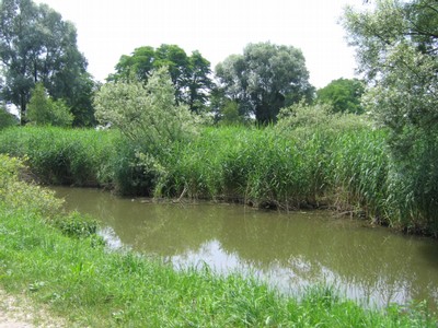 Naravna struga vodotoka