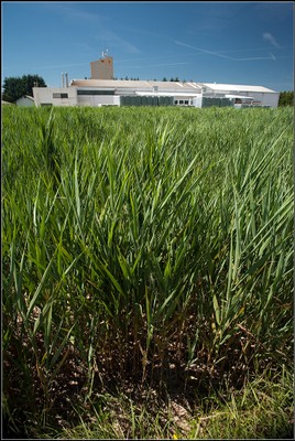 Industrijska RČN