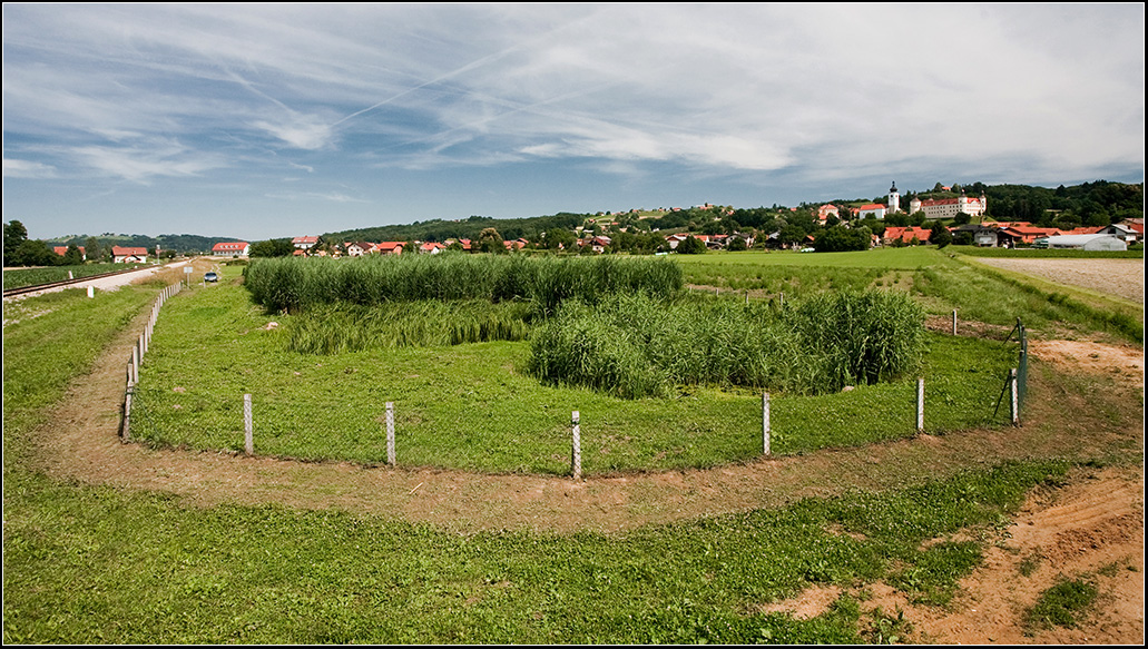 RČN v Veliki Nedelji