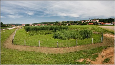 RČN v Veliki Nedelji
