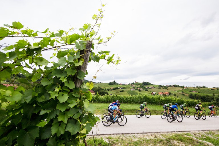 4. etapa kolesarske dirke Po Sloveniji