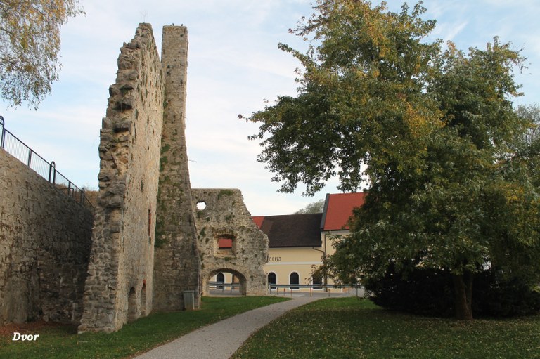 Evropska sredstva za Auerspergovo železarno Dvor – interpretacijsko informacijski center Natura 2000 Evropska sredstva za Auerspergovo železarno Dvor – interpretacijsko informacijski center Natura 2000