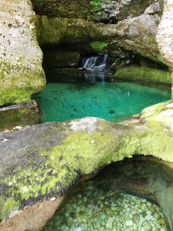Evropska sredstva za izboljšanje stanja nekaterih vrst in habitatov v Triglavskem narodnem parku Evropska sredstva za izboljšanje stanja nekaterih vrst in habitatov v Triglavskem narodnem parku